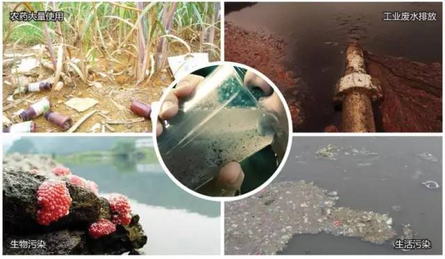 告別硬水之憂！化學肥料時代的凈水器選購指南