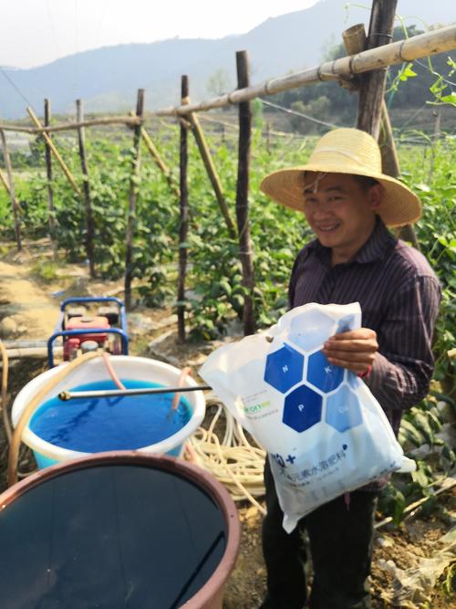 化學肥料 現代農業的養分支柱與環保挑戰